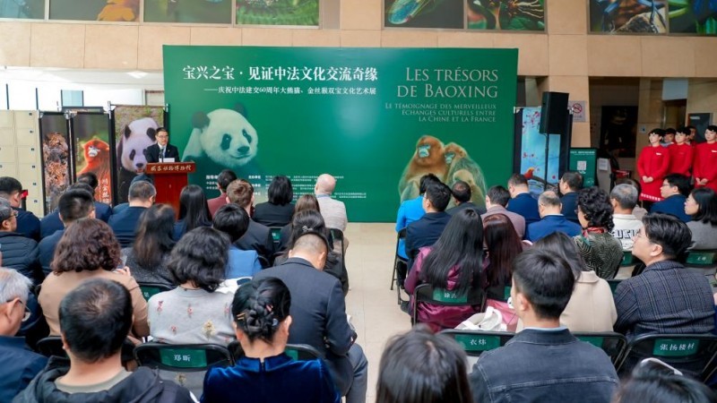 艺海拾贝:文化艺术交流活动的风潮与趋势